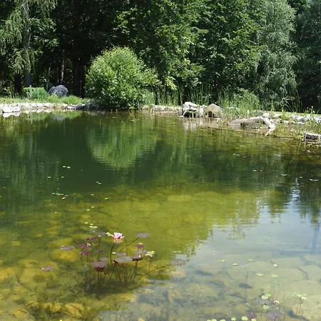 Garni Kranzbichlhof فندق 4*