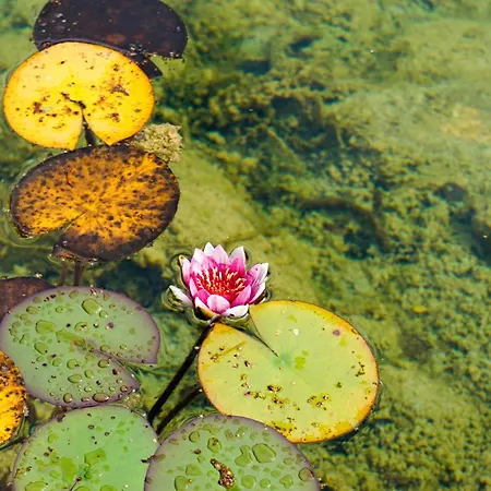 Garni Kranzbichlhof Hotel Durrnberg